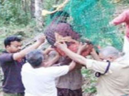 അമ്മ വിവാഹം കഴിക്കാൻ സമ്മതിക്കുന്നില്ല! ഇടുക്കിയിലെ യുവാവ് കാണിച്ചുകൂട്ടിയത്... ഒരു തെങ്ങ് മതി!