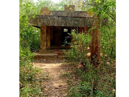 പാലക്കാട് ബുദ്ധ ധര്‍മ്മം വൻതോതിൽ പ്രചരിച്ചതിന് തെളിവുകൾ