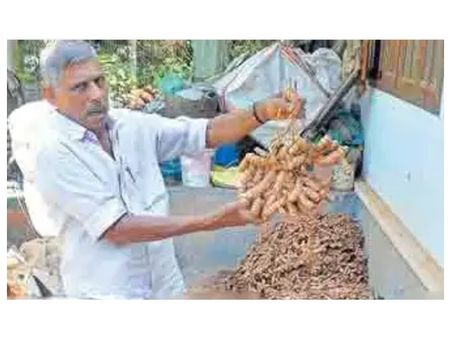ഹരിതലോകത്ത് വിപ്ലവം തീര്‍ക്കുകയാണ്  കല്ലോട് സ്വദേശി കുഞ്ഞിരാമേട്ടന്‍
