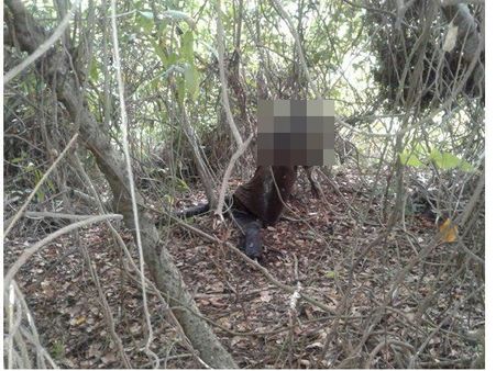 വിദേശ വനിതയുടെ മരണം; ദുരൂഹതകളേറുന്നു, ആ ഓവർകോട്ട് ആരുടേത്, പോലീസിനെതിരെയും വിമർശനം!