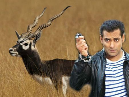 സൽമാൻ ഖാൻ വേട്ടയാടിയ കൃഷ്ണമൃഗം ബിഷ്ണോയികളുടെ ദൈവം! ഗുരു ജംബാജിയുടെ പുനർജ്ജന്മം...