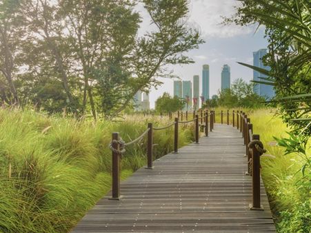 വേനൽ ചൂടിലും പച്ചപ്പിന്റെ വിരുന്നൊരുക്കി ഷാർജ അൽ നൂർ ദ്വീപ്