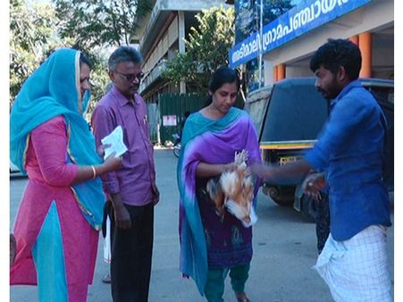 അടിമാലി ഗ്രാമപഞ്ചായത്തില്‍ വിതരണം ചെയ്ത മുട്ടക്കോഴികള്‍ ചത്തൊടുങ്ങുന്നു.. വ്യാപക നഷ്ടം