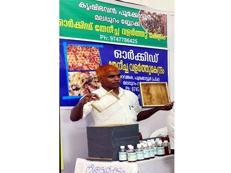 27വര്‍ഷമായി ഏക്കര്‍കണക്കിന് സ്ഥലത്ത് തേനീച്ച കൃഷിചെയ്ത വിജയ തിളക്കത്തില്‍ ഹമീദ്