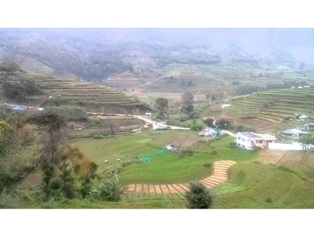   വേനല്‍മഴ കനിഞ്ഞില്ല;  വട്ടവടയില്‍ കൃഷിയിടങ്ങള്‍ കരിഞ്ഞുണങ്ങുന്നു ആശങ്കയോടെ കര്‍ഷകര്‍