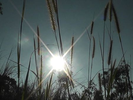 ഉദയാസ്ഥമയത്തിന്റെ വിസ്മയ കാഴ്ചകളില്‍ ഇടുക്കി കനകക്കുന്ന്