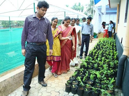 നാട്ടിലെങ്ങും തേന്‍കനി: 15 ലക്ഷം ഫലവൃക്ഷത്തൈകള്‍ തയ്യാറാകുന്നു