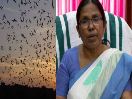 12 പേർക്ക് നിപ്പാ വൈറസ്; മരിച്ചവരുടെ മൃതദേഹം വിട്ടുനൽകില്ല! മലപ്പുറത്തും വൈറസ് ബാധ സ്ഥിരീകരിച്ചു...