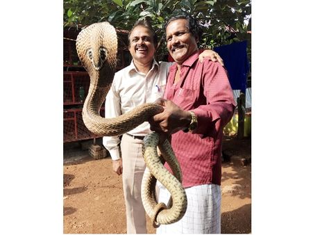 മരുഭൂമിയിലെ വിഷപ്പാമ്പുകളെ കുറിച്ച് ഗവേഷണം നടത്താന്‍ മലയാളികളായ ഗവേഷകനും പാമ്പുപിടുത്തക്കാരനും...