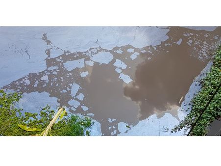 പെരിയാറില്‍ മാലിന്യം: ഉദ്യോഗസ്ഥര്‍ പരിശോധന നടത്തി