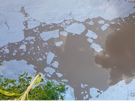 പെരിയാറിൽ വീണ്ടും മാലിന്യം; വെളളത്തിൽ ഓക്സിജൻ കുറയുന്നു: പിസിബി