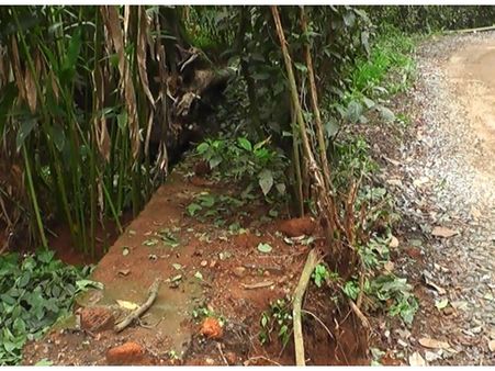 റോഡും തോടും കയ്യേറി സ്വകാര്യ വ്യക്തി; പ്രതിഷേധം ശക്തമാക്കി നാട്ടുകാര്‍