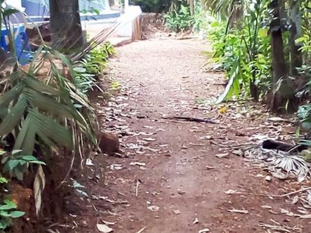 പൊതു തോട് സ്വകാര്യ വ്യക്തി മണ്ണിട്ട് നികത്തി,പരാതി നൽകിയിട്ടും നടപടിയില്ല