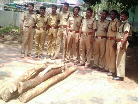 മറയൂരില്‍ ചന്ദന മോഷണം: മോഷ്ടിച്ച ചന്ദന മരങ്ങള്‍ വനപാലകര്‍ കണ്ടെത്തി