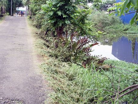 മരട് സ്കൂള്‍ വാന്‍ ദുരന്തത്തില്‍ നിന്ന് പഠിച്ചില്ല! സുരക്ഷാ ഭിത്തികളില്ലാത്ത റോഡുകൾ മരടില്‍ ഇനിയും