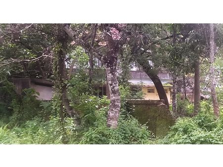 ചാവക്കാട് തീരദേശത്ത് കഞ്ചാവ് മാഫിവ പിടിമുറുക്കുന്നു; തൃശ്ശൂരിൽ കഞ്ചാവ് സുലഭം, വിദ്യാർത്ഥികളും....