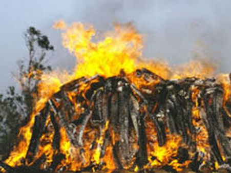സ്വന്തമായി ആറടിമണ്ണില്ല; പട്ടികജാതിക്കാരിക്ക് റോഡരികിൽ ചിതയൊരുക്കി