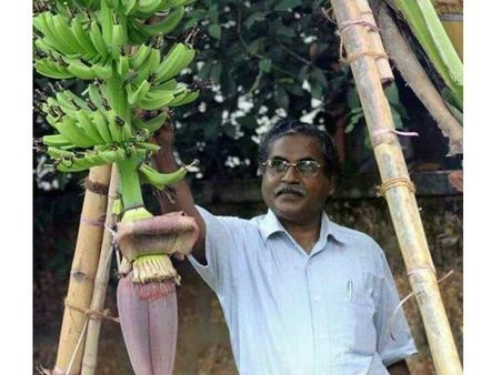 നിപ്പാ: ഹോമിയോ ഫലപ്രദം സര്‍ക്കാര്‍ ഭയക്കുന്നതെന്തിന് ? ഡോ. അബ്ദുല്‍ ലത്തീഫ്