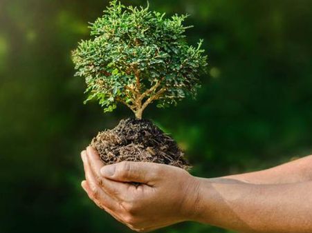 മഹാവിപത്തിനെ ചെറുത്തുതോല്‍പ്പിക്കാം; ഇന്ത്യ ആതിഥേയത്വം വഹിക്കുന്നു, ഇന്ന് പരിസ്ഥിതി ദിനം