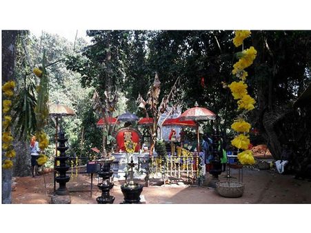 ആദിമ ഗോത്ര സംസ്ക്കാരത്തിന്റെ അടയാളം... പത്തനംതിട്ടയിലെ കല്ലേല്ലിക്കാവിലൂടെ ഒരു യാത്ര...