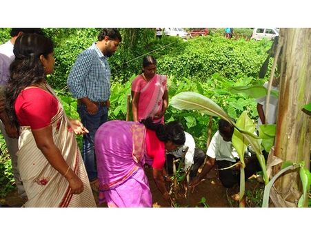 ജലപുനര്‍ജനി പദ്ധതി; 2500 മുളത്തൈകള്‍ ഉപയോഗിച്ച് പുഴയോര സംരക്ഷണം നടത്തുന്നു