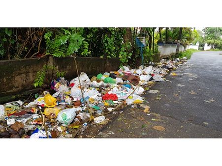 പള്ളിലാംകര റോക്ക് വെൽ റോഡിൽ മാലിന്യം ചീഞ്ഞളിയുന്നു