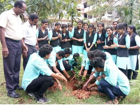 പഠനത്തോടൊപ്പം പരിസ്ഥിതി സ്‌നേഹവും; ഫലവൃക്ഷസമൃദ്ധമായി കല്ലുവയല്‍ ജയശ്രീ ഹയര്‍ സെക്കന്ററി സ്‌കൂള്‍ ക്യാംപസ്