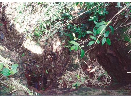 മണ്ണ് മാഫിയ കടന്നുകയറ്റം: കോഴിക്കോട്ട് നൂറ്റാണ്ടുകള്‍ പഴക്കമുള്ള കോട്ടോല്‍ കുന്ന് ഗുഹ തകരുന്നു