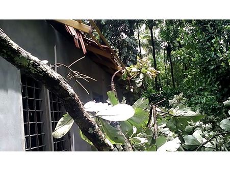 മഴക്കണക്കില്‍ റെക്കോര്‍ഡിട്ട് വയനാട്; കാലവര്‍ഷത്തില്‍ ഇതുവരെ ലഭിച്ചത് 1572 മില്ലീമീറ്റര്‍ മഴ; അതീവജാഗ്രതാ നിര്‍ദേശവുമായി ജില്ലാഭരണകൂടം