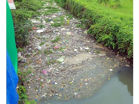 പേരണ്ടൂര്‍ കനാലില്‍ കക്കൂസ് മാലിന്യം