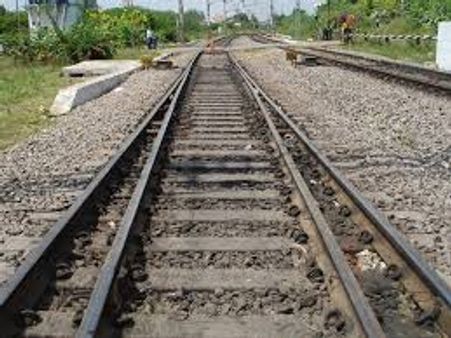 കാടിളക്കി വേണോ വികസന പാത; തലശ്ശേരി- മൈസൂർ റെയിൽ പാതക്കെതിരെ പ്രതിഷേധം