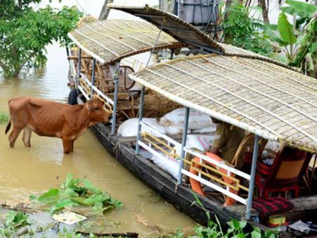 പ്രളയക്കെടുതി: മൃഗങ്ങളുടെ സംരക്ഷണത്തിന് പ്രത്യേക ക്യാമ്പുകള്‍ ആരംഭിക്കും, കര്‍ഷകര്‍ക്ക് നഷ്ടപരിഹാരം