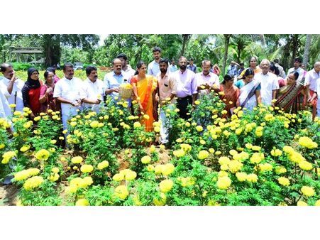 ഓണത്തെ വരവേല്‍ക്കാന്‍ കണ്ണൂരില്‍ 'പൂക്കാലം വരവായി' പദ്ധതി