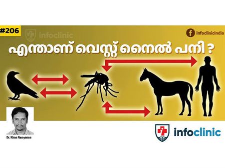 നിപ്പയ്ക്ക് ശേഷം... പക്ഷികൾ വഴി, കൊതുകുകളിലൂടെ വെസ്റ്റ് നൈൽ പനി; ഭയക്കേണ്ടതില്ല... ഇങ്ങനെയാണ് കാര്യം