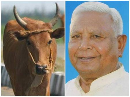 ഗുജറാത്തിൽ തെരുവ് പശുവിന്റെ കുത്തേറ്റ് ബിജെപി എംപിക്ക് ഗുരുതര പരിക്ക്... രണ്ട് വാരിയെല്ലുകൾ ഒടിഞ്ഞു