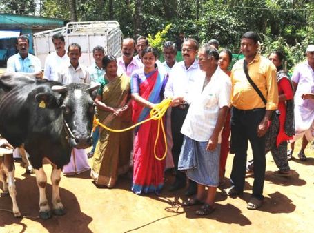 ഒരു പശുവിനെ സ്പോണ്‍സര്‍ ചെയ്യൂ: ഒരു കുടുംബത്തെ രക്ഷിക്കൂ' മികച്ച മാതൃകയുമായി വയനാട്