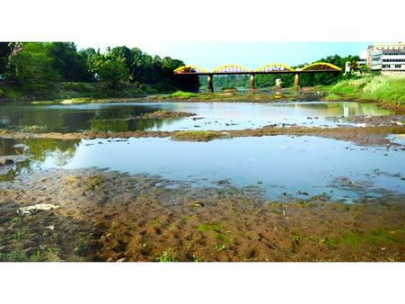 വരൾച്ച രൂക്ഷം: ഇടമുറിയാൻ വെമ്പൽ പൂണ്ട് പത്തനംതിട്ടയിലെ നദികൾ , പമ്പയും അച്ചൻകോവിലാറും ഭീതിയില്‍!