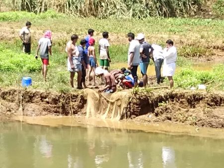എലിപ്പനിക്കെതിരെ ഹോമിയൊ ഫലപ്രദം; അലോപ്പതി ഡോക്റ്റര്‍മാര്‍ സര്‍ക്കാര്‍ സംവിധാനം ദുരുപയോഗം ചെയ്യുന്നു