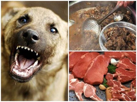 നിലമ്പൂരിൽ മാനിറച്ചിയെന്ന പേരിൽ വിളമ്പിയത് പട്ടിയിറച്ചി, ഛർദ്ദിച്ച് അവശരായി നിരവധി പേർ ആശുപത്രിയിൽ!