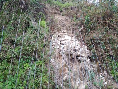 പ്രളയം: കിണര്‍വെള്ളത്തിന്റെ ഗുണനിലവാര പരിശോധനയ്ക്ക് ശനിയാഴ്ച തുടക്കമാകും