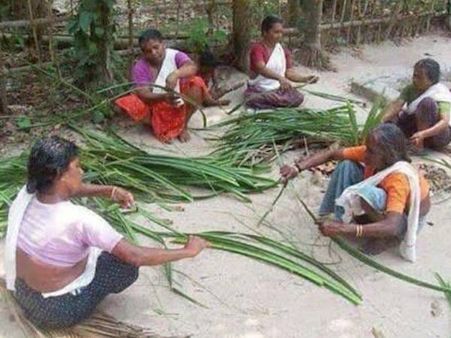  തഴയും തഴപ്പായയും ഓർമകളിൽ മാത്രം: അന്യം നിന്നുപോകുന്ന പായ നെയ്ത്ത്, പായകളിലെ വെറൈറ്റികള്‍ ഏതെല്ലാം