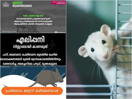 ഇല്ലം ചുടാതെ എലിപ്പനിയെ പ്രതിരോധിക്കാം; ഈ ചിത്രങ്ങള്‍ പറയും പ്രതിരോധ മാര്‍ഗ്ഗങ്ങളും നിര്‍ദ്ദേശങ്ങളും