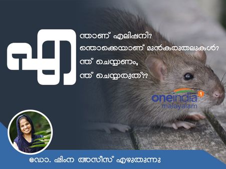 എന്താണ് എലിപ്പനി? മുൻകരുതലുകൾ എന്തൊക്കെ? എന്ത് ചെയ്യണം, എന്ത് ചെയ്യരുത്... ഡോ. ഷിംന അസീസ് എഴുതുന്നു!