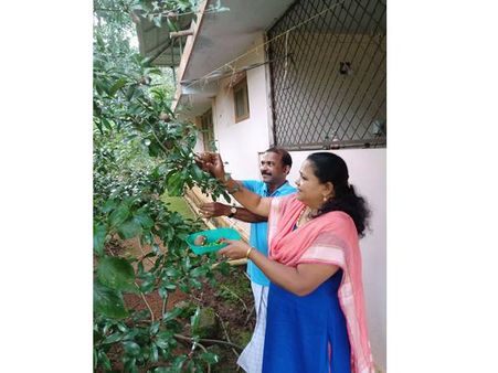അധ്യാപനത്തോടൊപ്പം കാര്‍ഷികവൃത്തിയിലും തങ്ങളുടെ മികവ് തെളിയിച്ച് അധ്യാപക ദമ്പതികള്‍