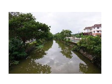 കനോലി കനാലില്‍ ജീവന്‍തുടിച്ചു തുടങ്ങി: കേരളപ്പിറവി ദിനത്തില്‍ ബോട്ടിറങ്ങും