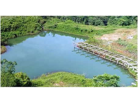 വിവാദ തടയണ നിര്‍മാണക്കേസില്‍ അന്‍വര്‍ എം.എല്‍.എക്കെതിരെ വീണ്ടും നടപടിക്ക് സാധ്യത, റിപ്പോര്‍ട്ടില്‍ നടപടി ഉടന്‍