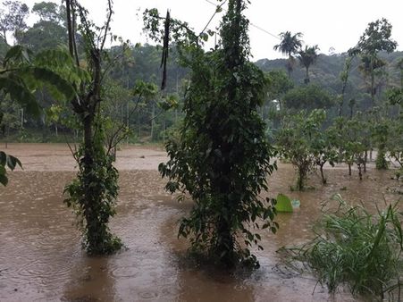 ഓരോ മഴയും ഇടുക്കിയെ കൂടുതല്‍ മുറിവേല്‍പ്പിക്കുന്നു!!! ജനങ്ങൾ പ്രതിസന്ധിയിൽ...