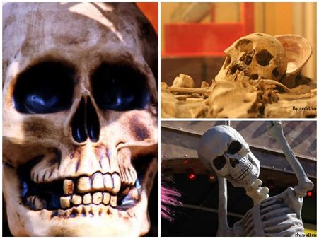 യുപി ട്രെയിനില്‍ 50 മനുഷ്യ അസ്ഥികൂടം; ചൈനയിലേക്ക് കടത്തുന്നു!! പരിശോധനയില്‍ ഞെട്ടിക്കുന്ന വിവരം