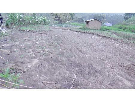 കനത്തമഴയില്‍ വട്ടവടയില്‍ വ്യാപക കൃഷിനാശം; അടിയന്തര സഹായം വേണമെന്ന് കര്‍ഷകര്‍!!!