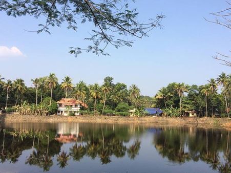 ആനിക്കാട് ചിറ, കയ്യേറ്റമൊഴുപ്പിക്കൽ ആവശ്യവുമായി ഗ്രീൻ പീപ്പിൾ: മാലിന്യം തള്ളുന്നതും കയ്യേറ്റവും!!!